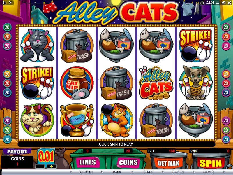 Be a cool cat and try the newest slot machine Alley Cats by Microgaming !