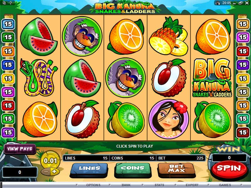 Play Big Kahuna Snakes and Ladders !